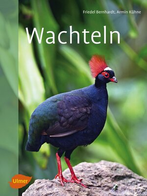 cover image of Wachteln